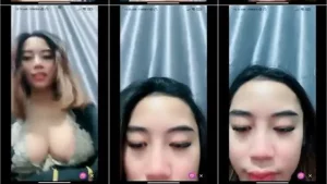 Dmx Putri Mango Remas Buah Dada
